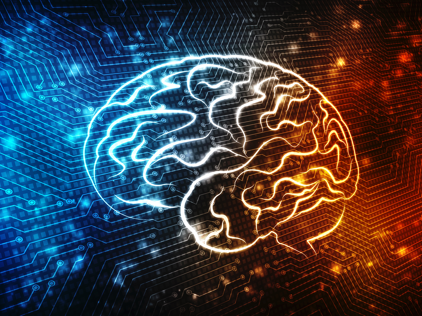 NewlyDiscovered Brain Cell The Institute for Creation Research